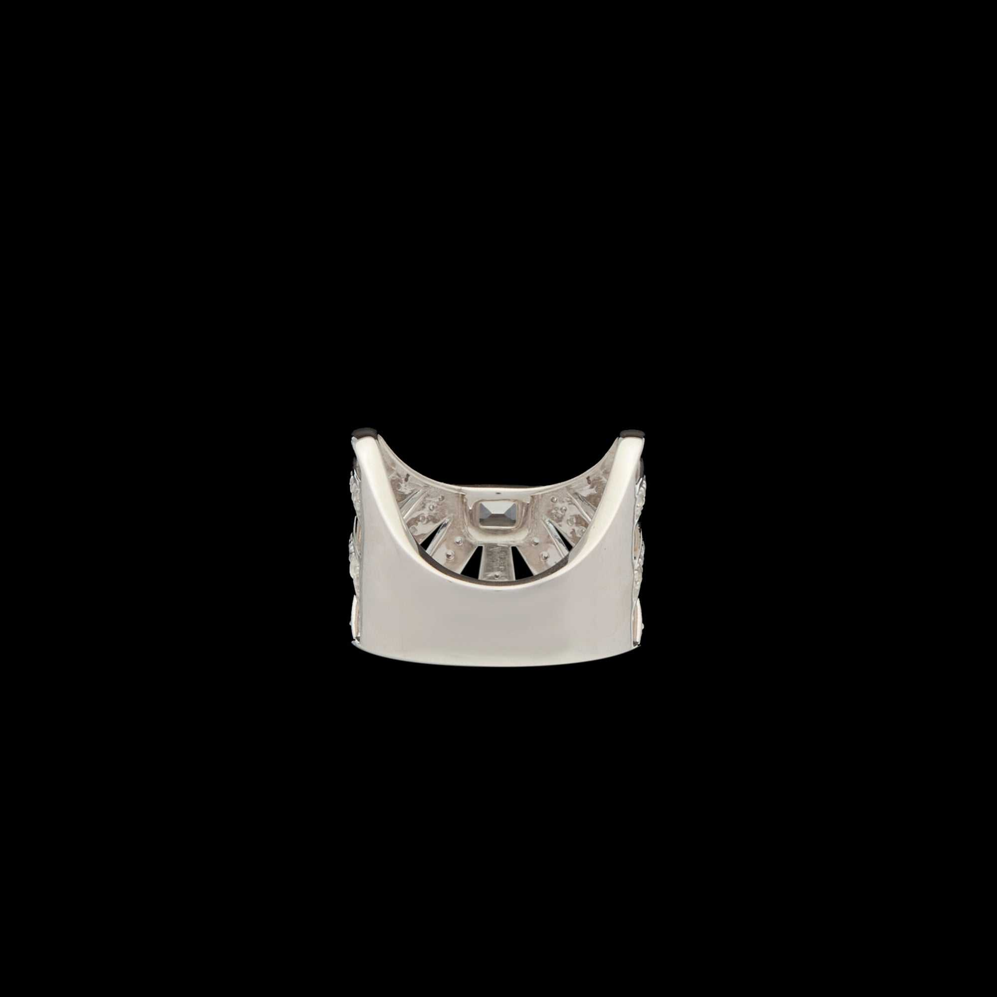 Ray of Light - Majestic Caged  Ring Silver