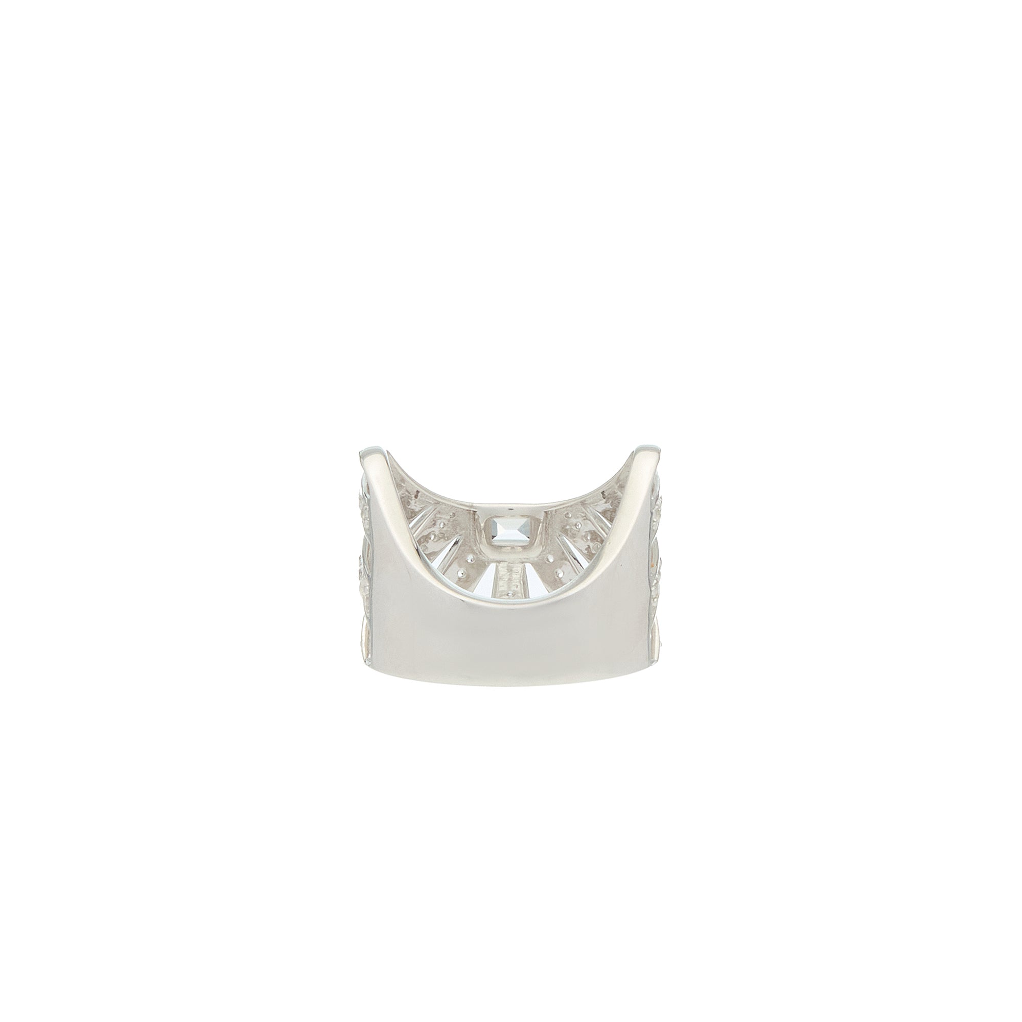 Ray of Light - Majestic Caged  Ring Silver