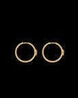 Eclipse Medium  Hoops - Gold